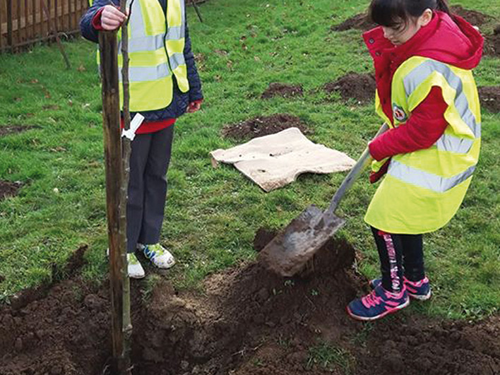 Young girl planting a tree in community garden