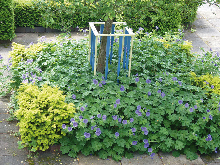 Compatible planting