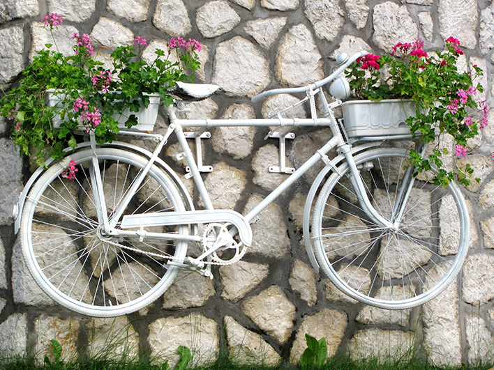 Bike hanging on wall with flowers